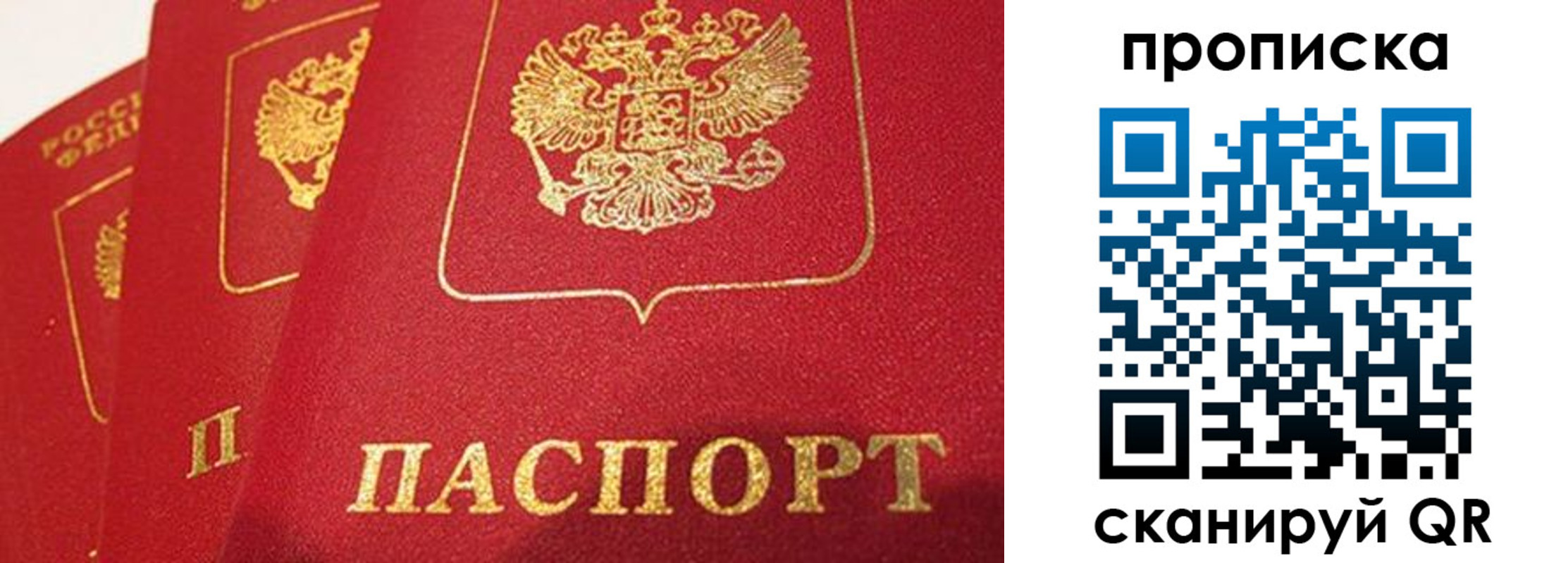 прописка паспорт в Холмске